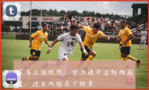 塞鸟主场饮恨：努力追平后防线崩盘，连丢两球吞下败果